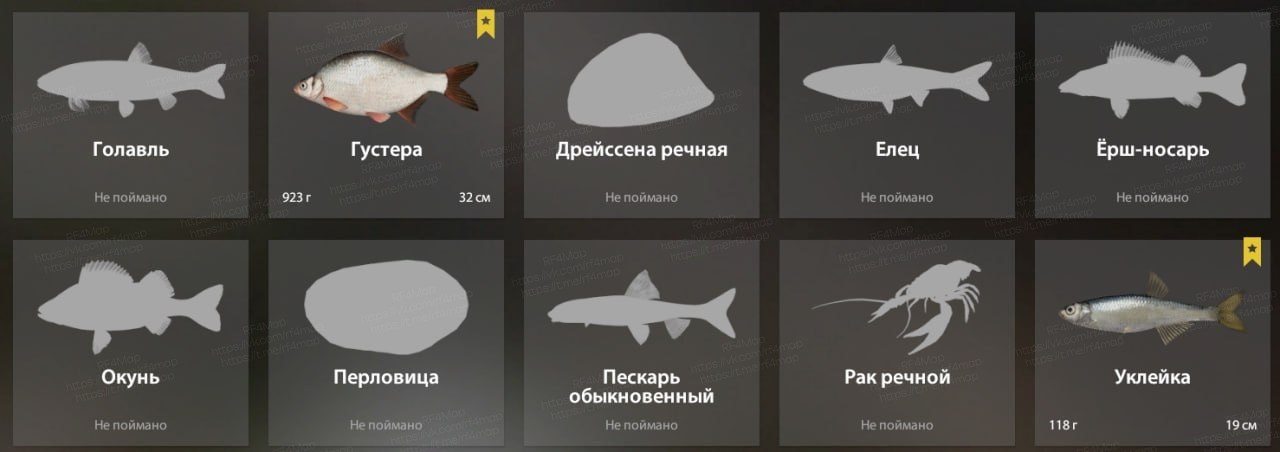 Река Вьюнок