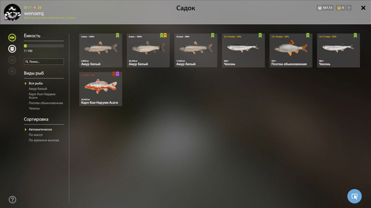 Садок — Озеро Медвежье