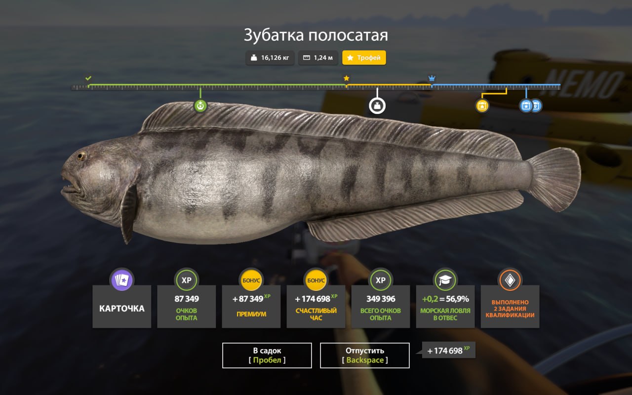 Trophy — Norwegian Sea