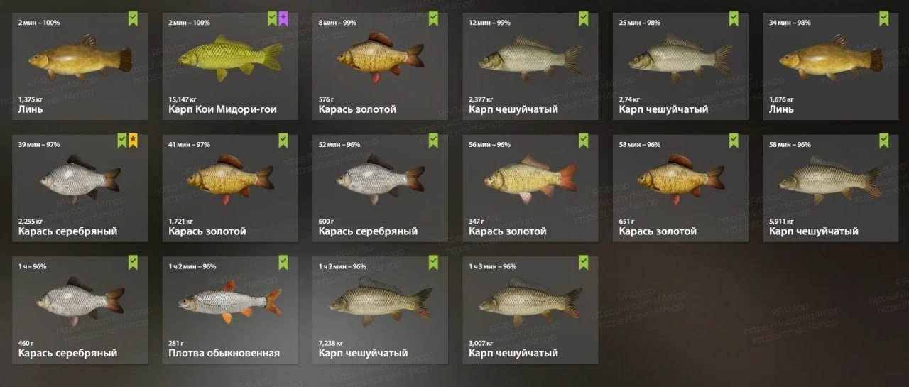 Озеро Комариное — Садок