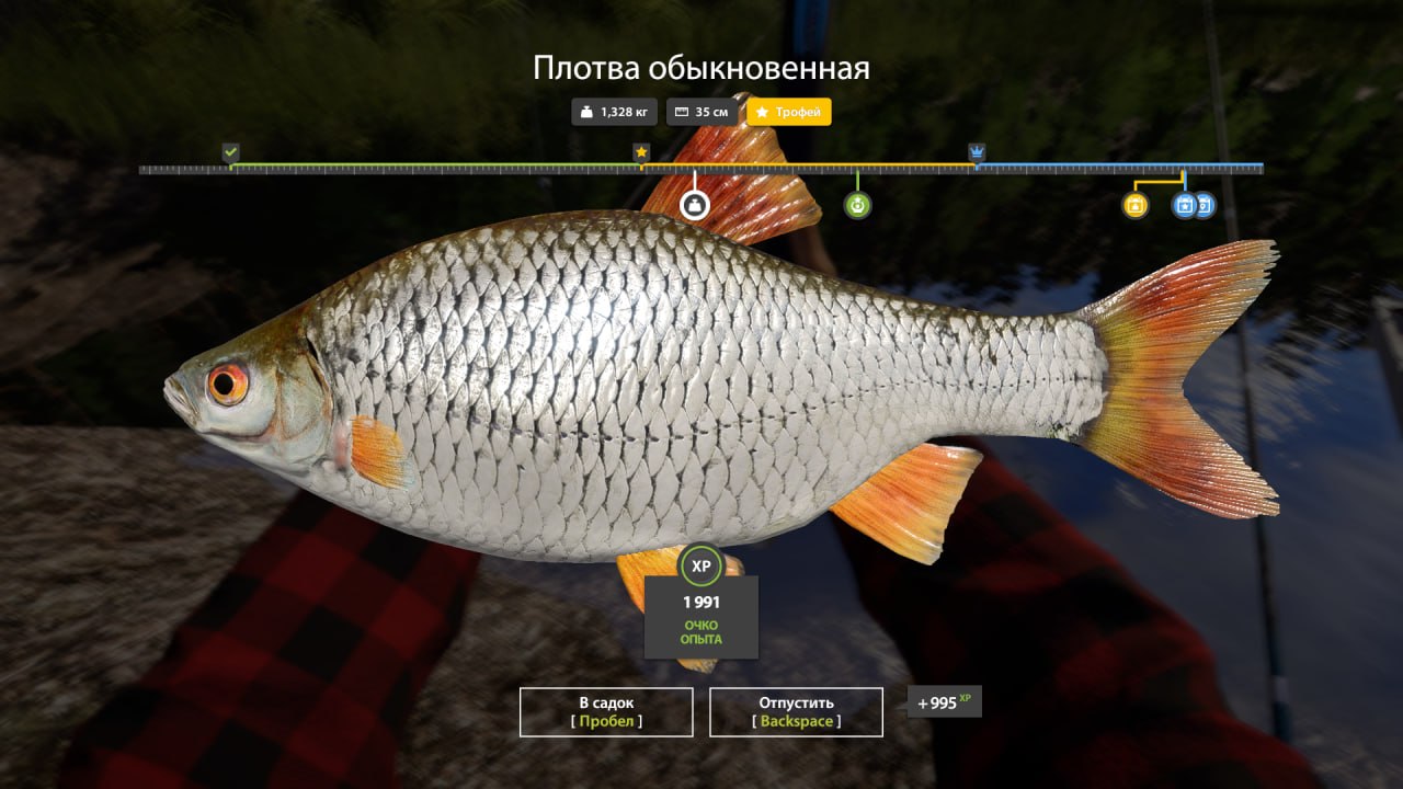 Ладожское озеро — Трофей