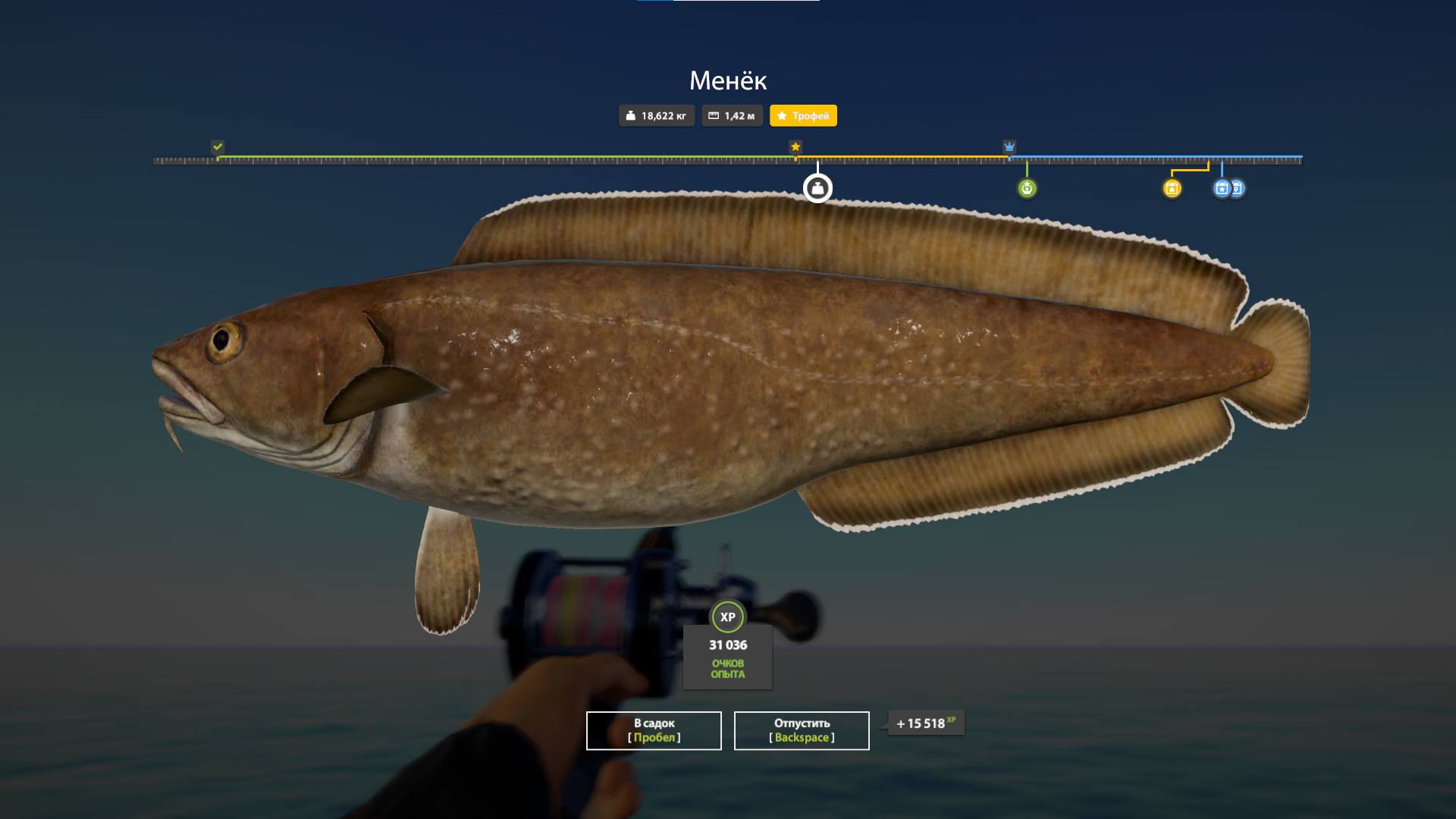Norwegian Sea — Trophy