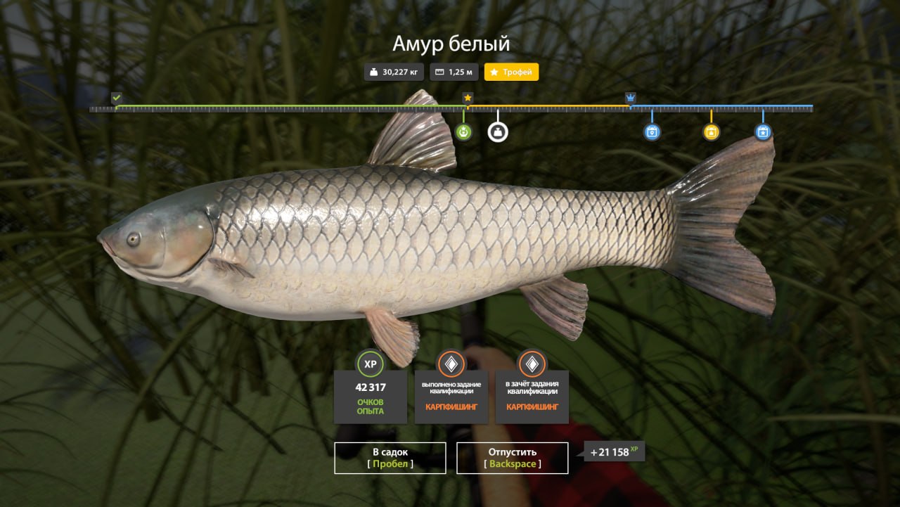 Trophy — Old Burg Lake