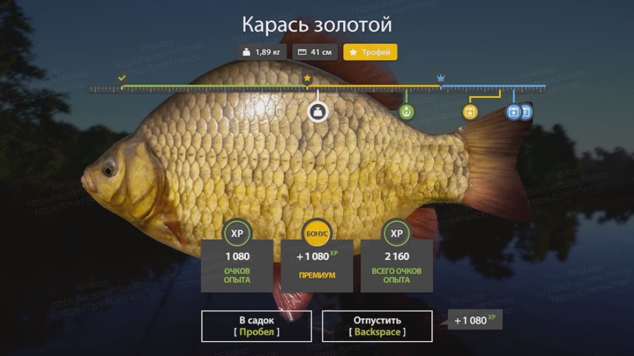 Mosquito Lake — Trophy