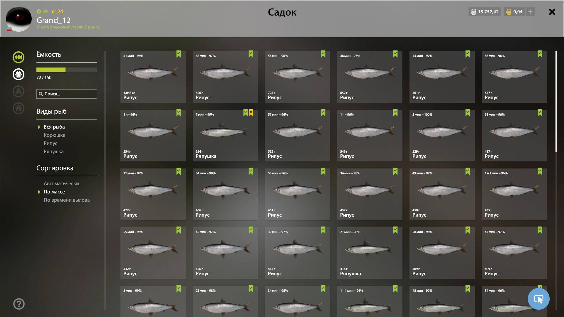 Ладожское озеро — Садок