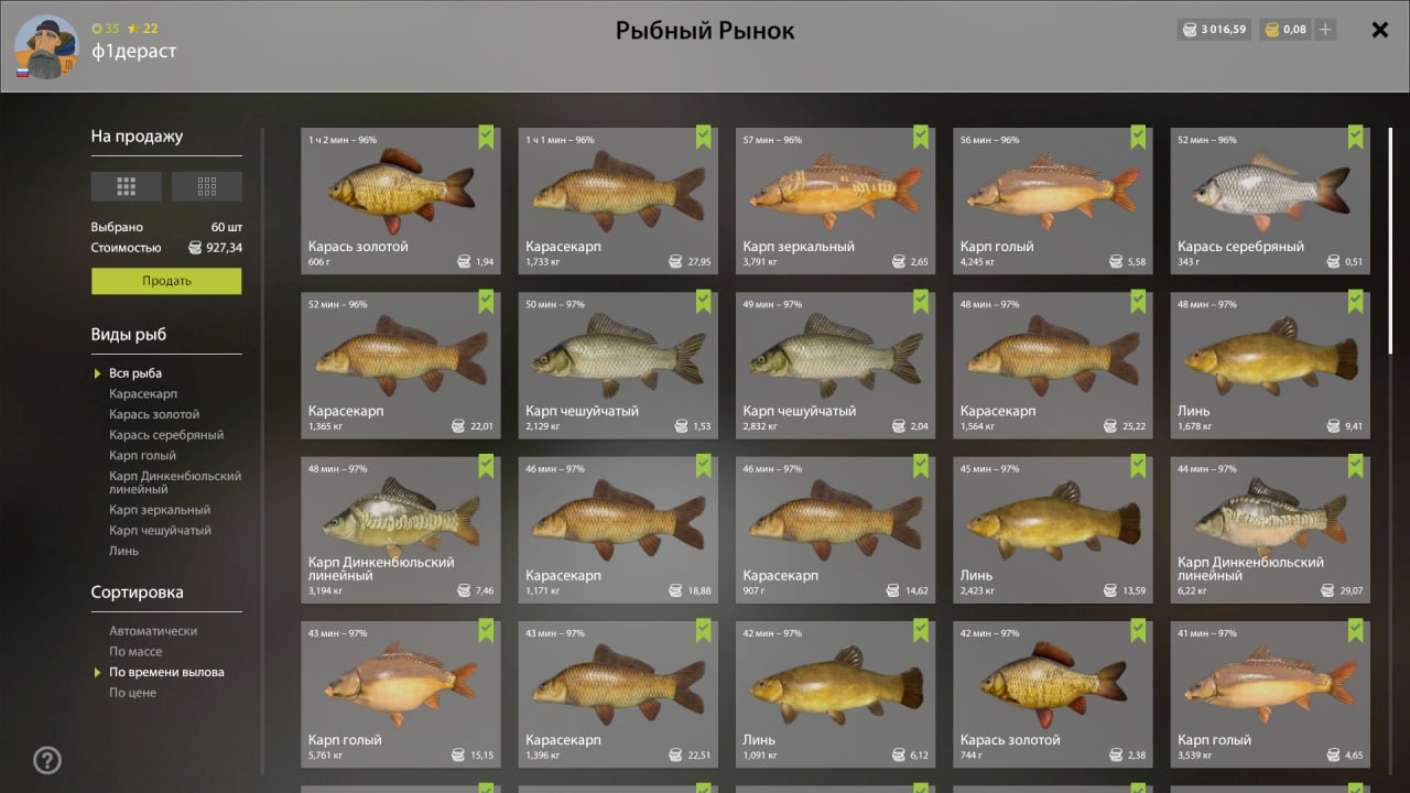 Садок — Озеро Медное