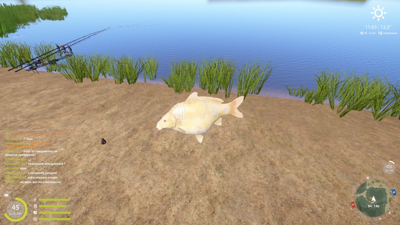 The Amber Lake — Miscellaneous