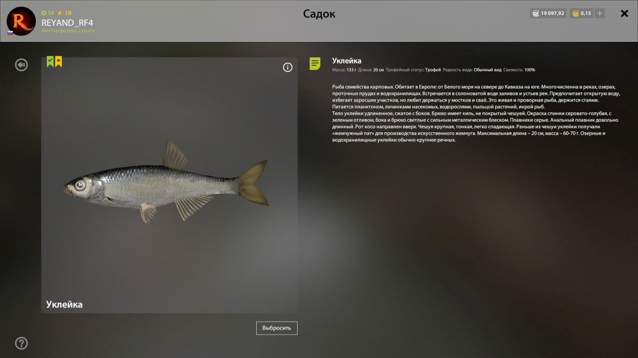 Winding Rivulet — Trophy