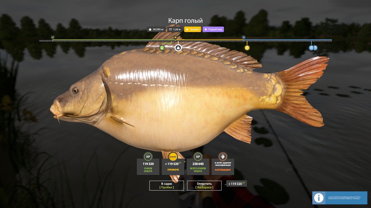 The Amber Lake — Trophy