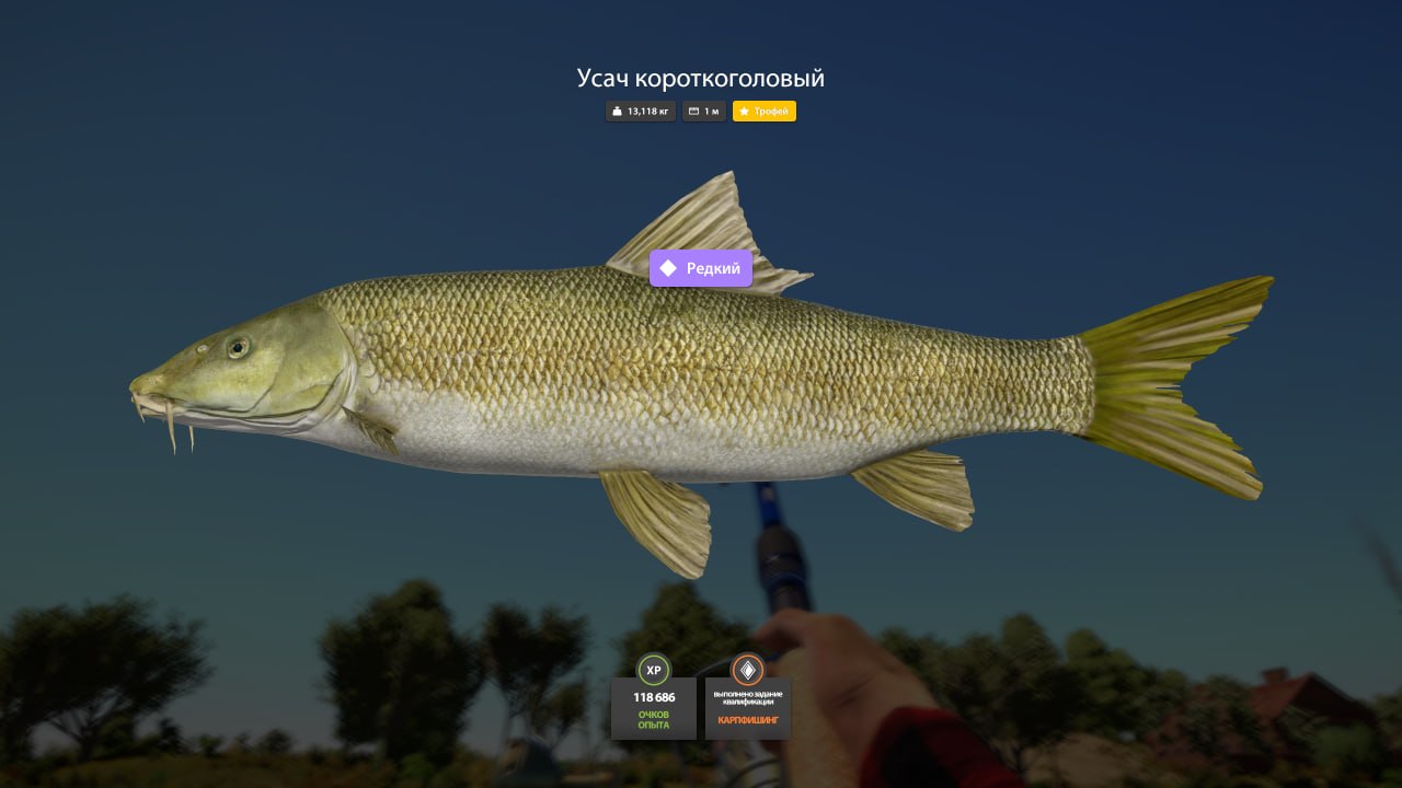 Trophy — Akhtuba River