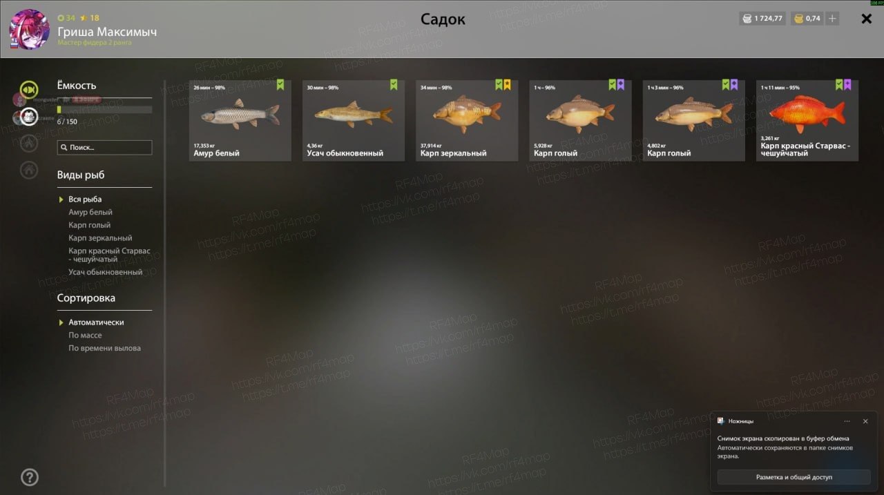 The Amber Lake — Keepnet