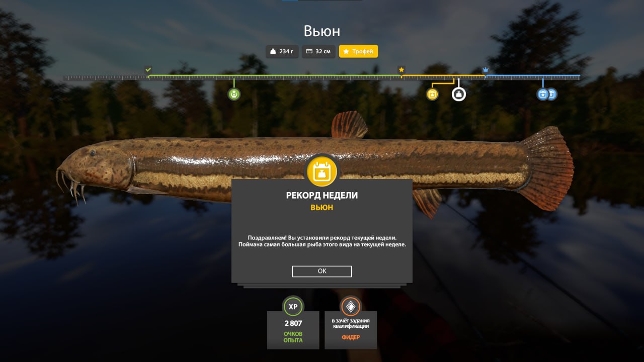 Mosquito Lake — Trophy