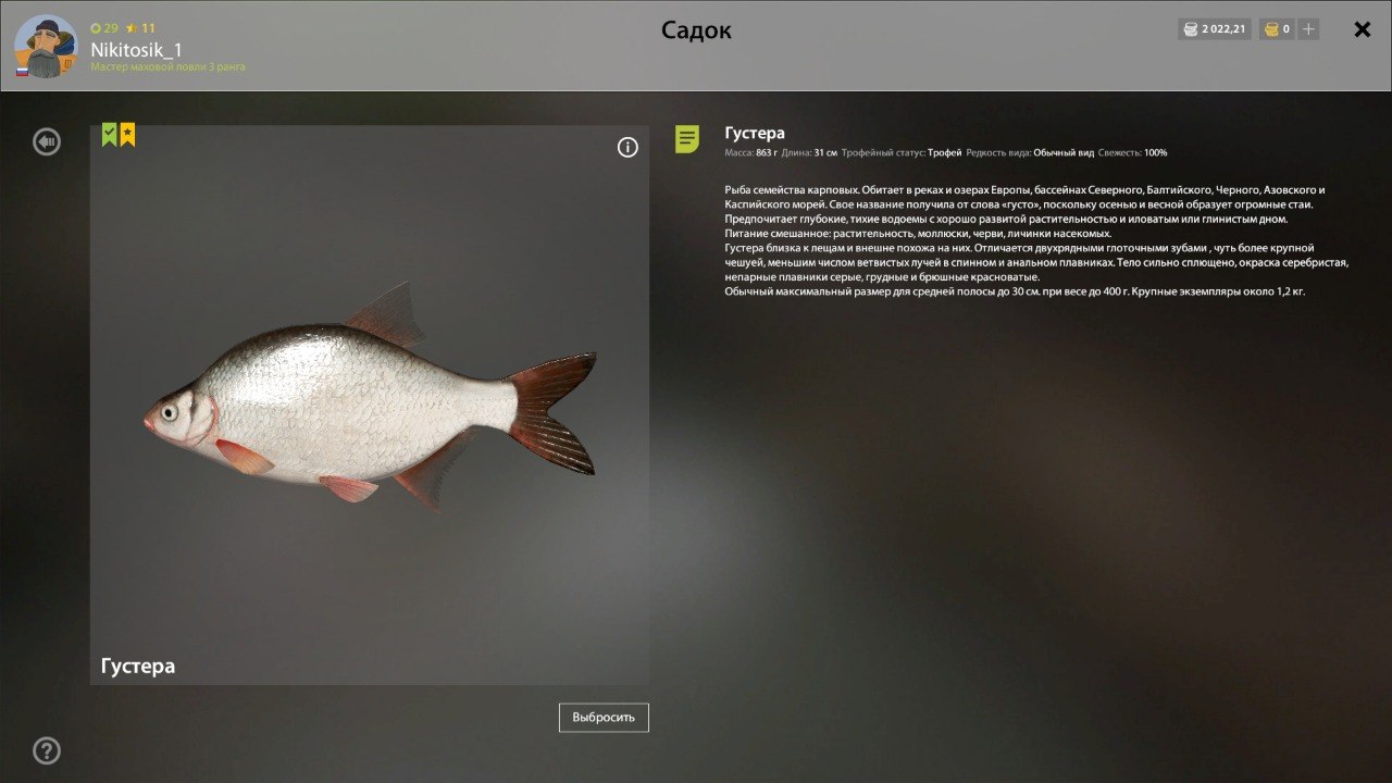 Winding Rivulet — Trophy