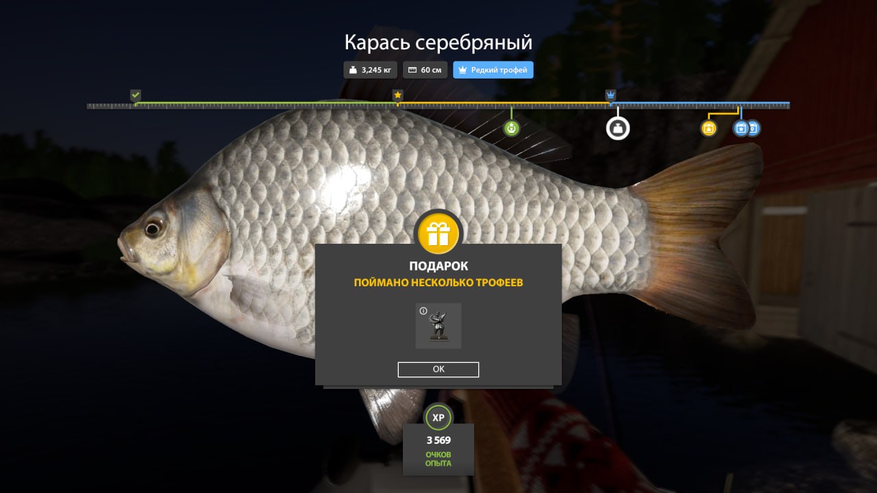 Ladoga Lake — Trophy