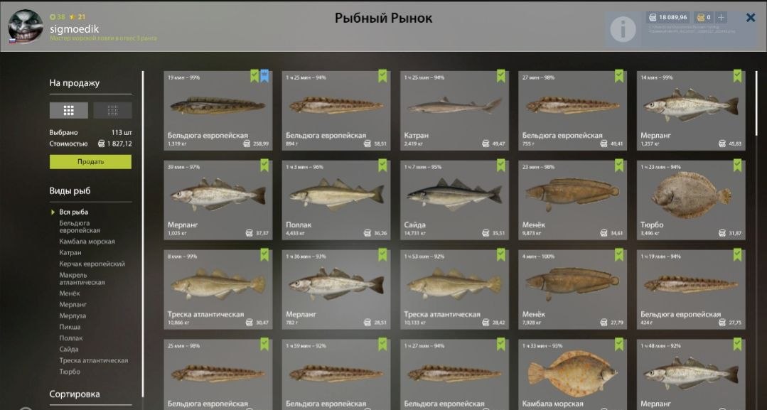 Keepnet — Norwegian Sea