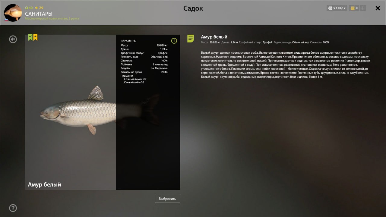 Miscellaneous — Bear Lake