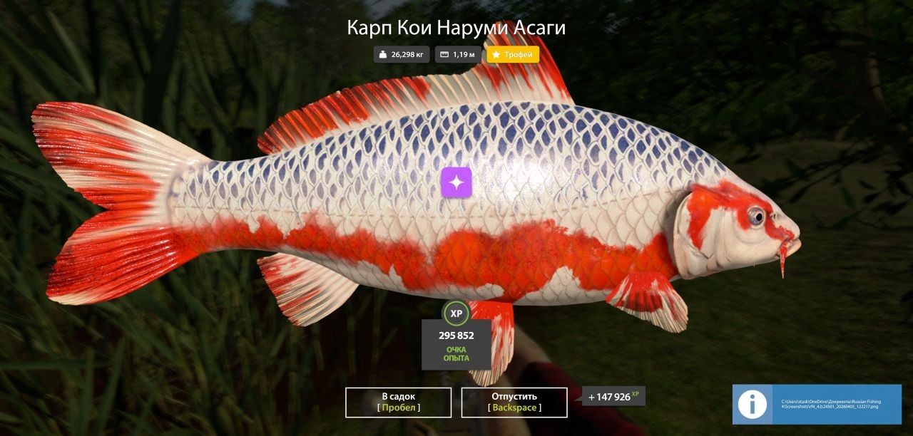 Трофей — Озеро Медное