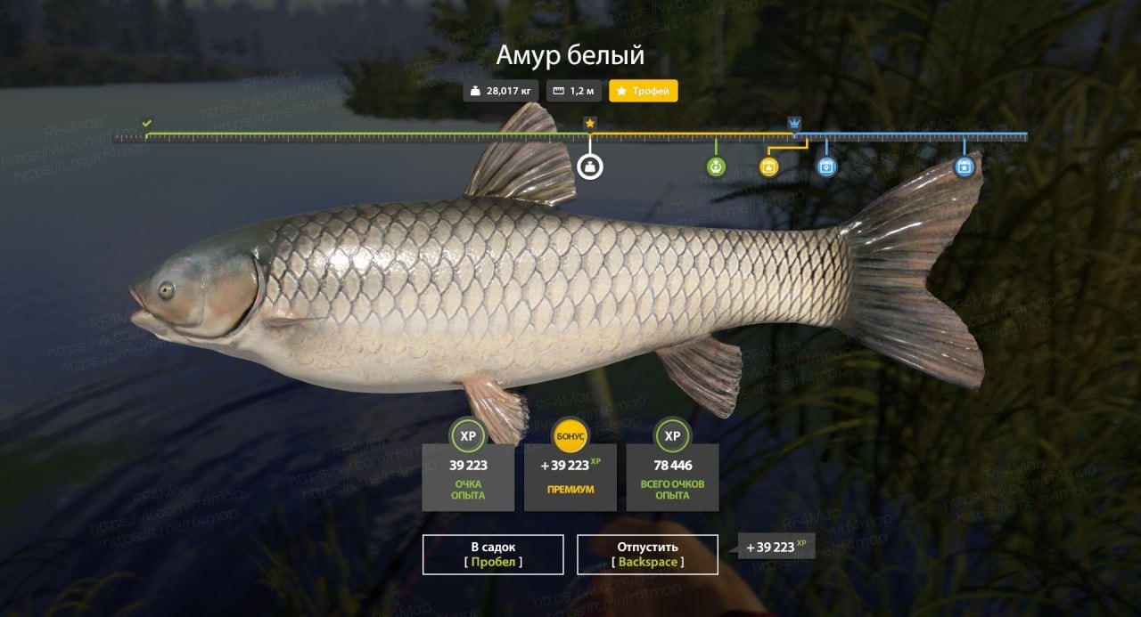 Old Burg Lake — Trophy