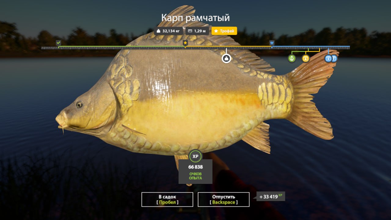 The Amber Lake — Trophy