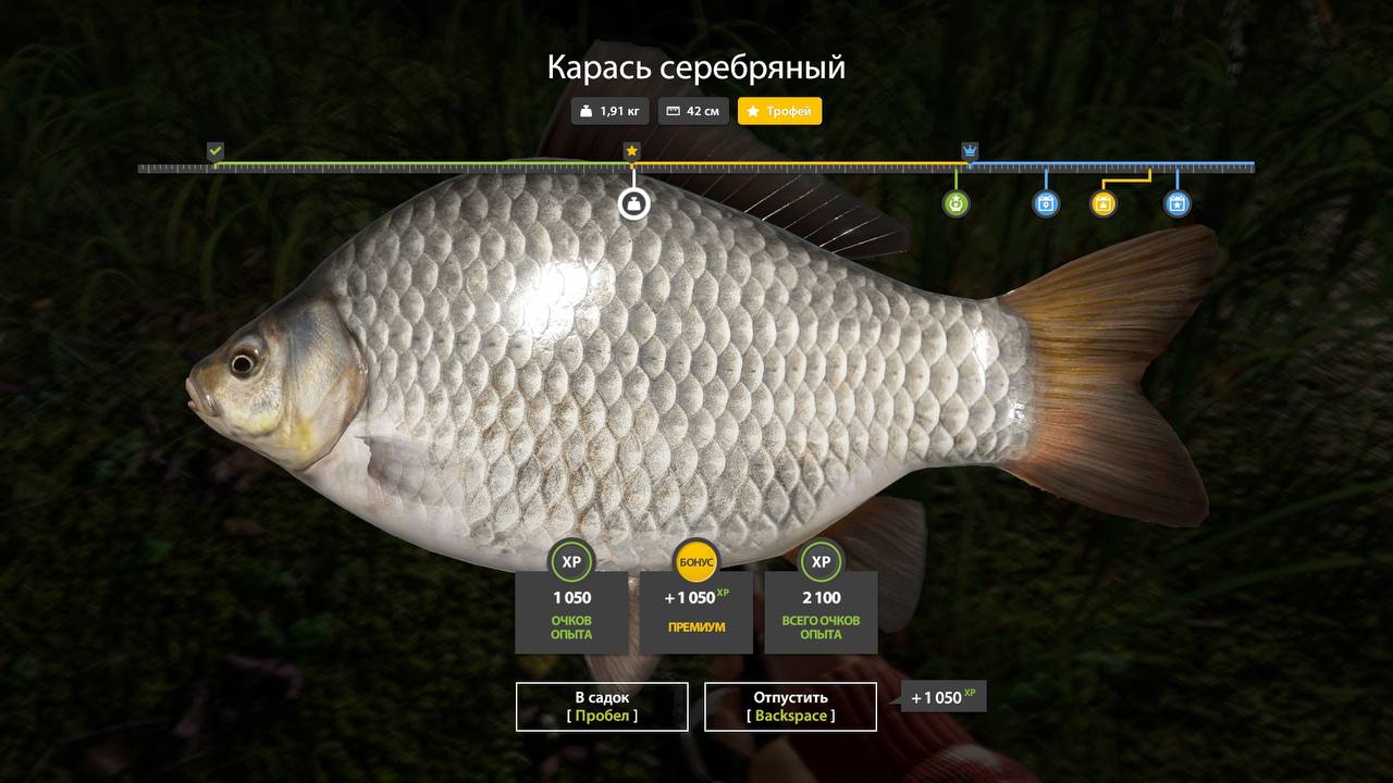 Озеро Старый Острог — Трофей