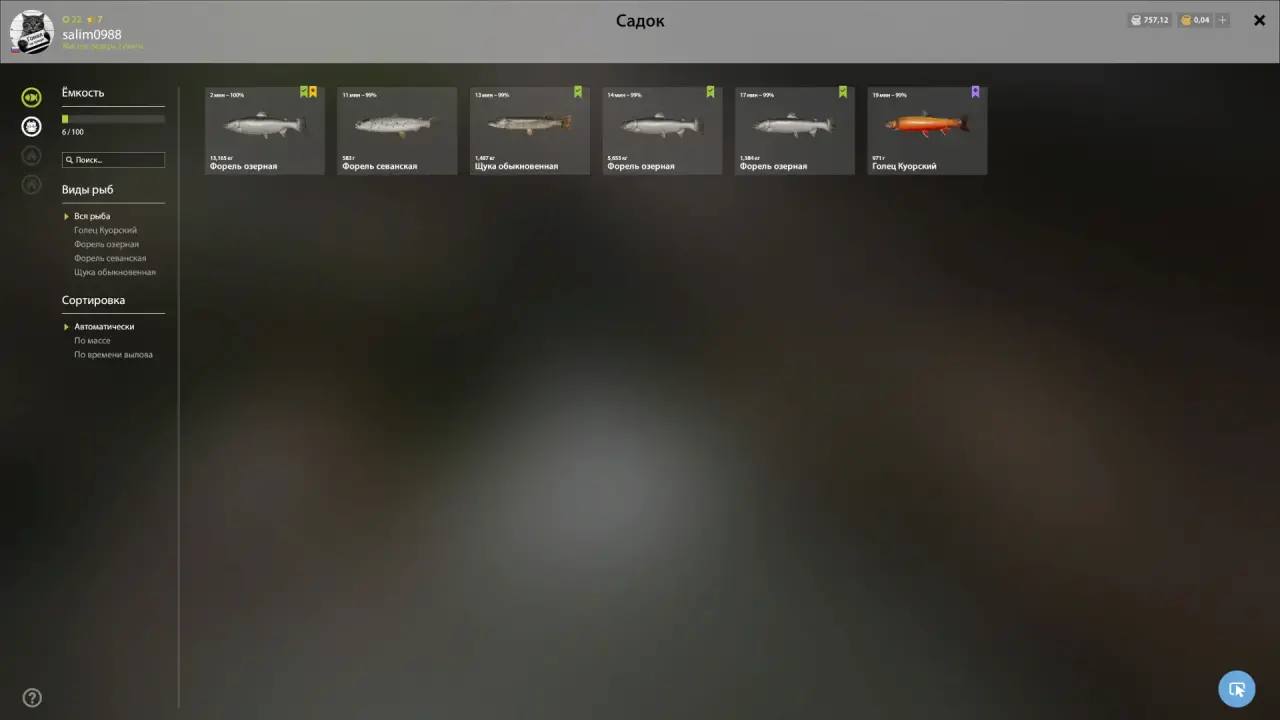 Kuori Lake — Keepnet