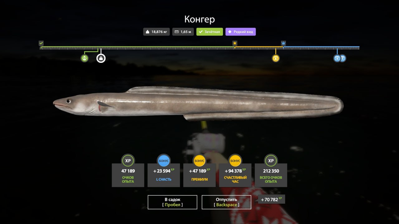 Норвежское море — Разное