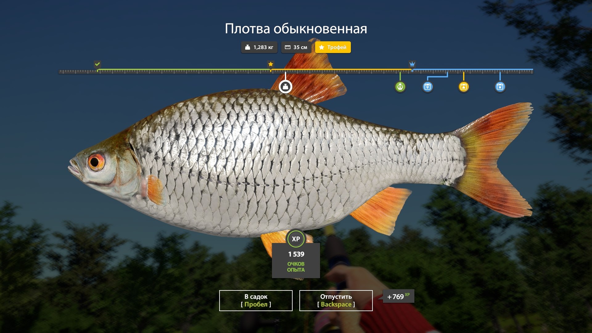 Озеро Медное — Трофей