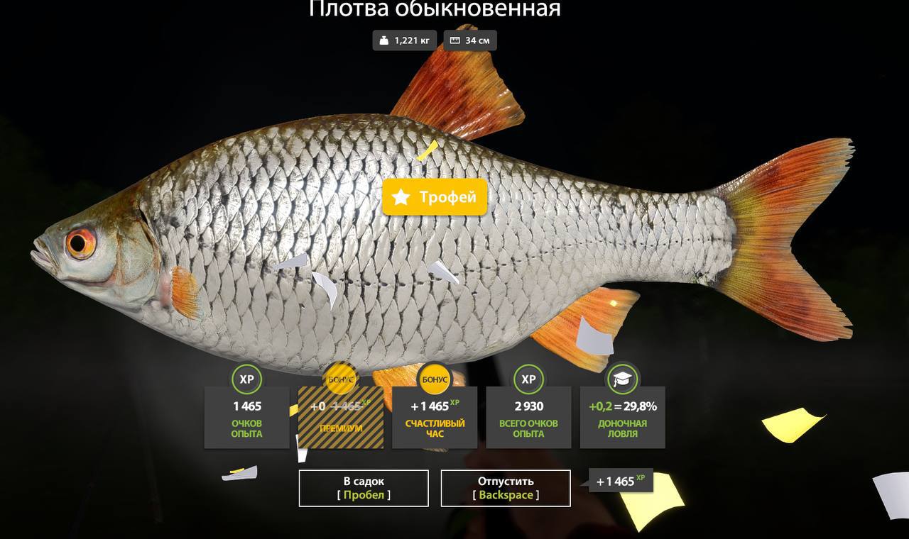 Mosquito Lake — Trophy