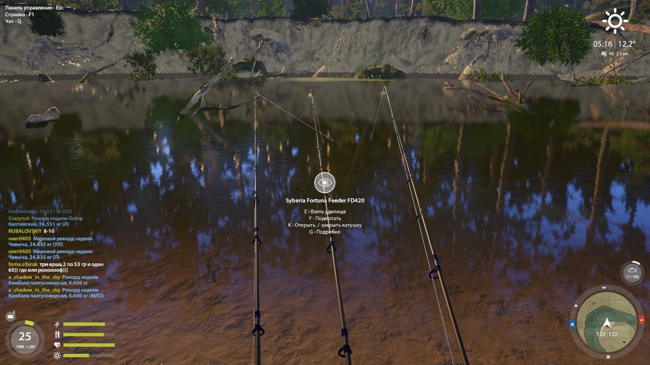 Winding Rivulet — Spot