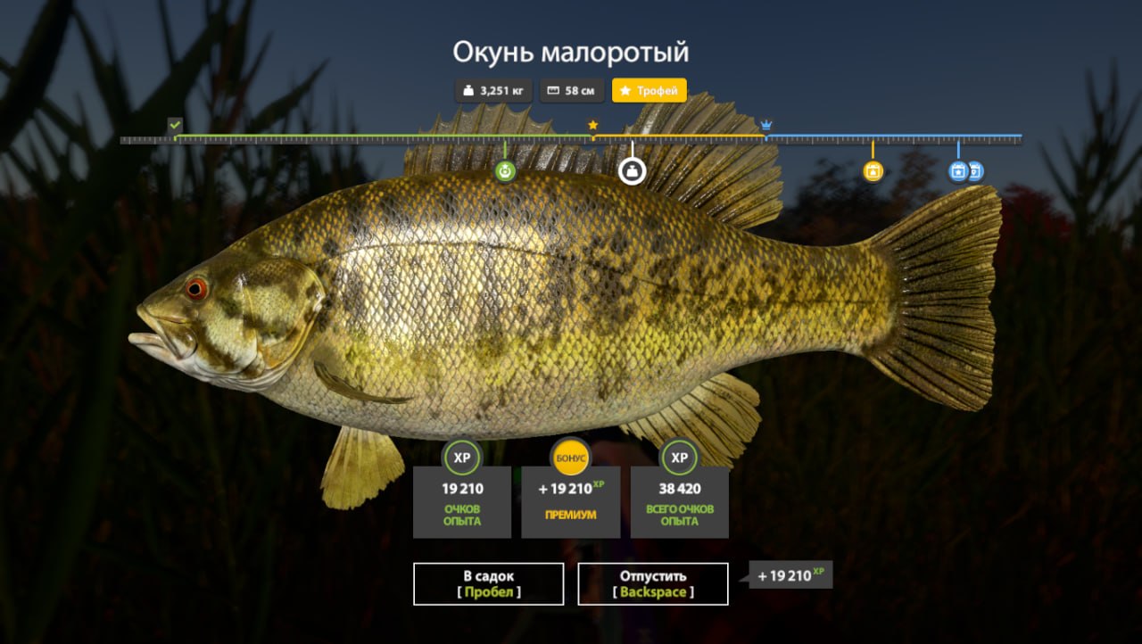 Озеро Лосиное — Трофей