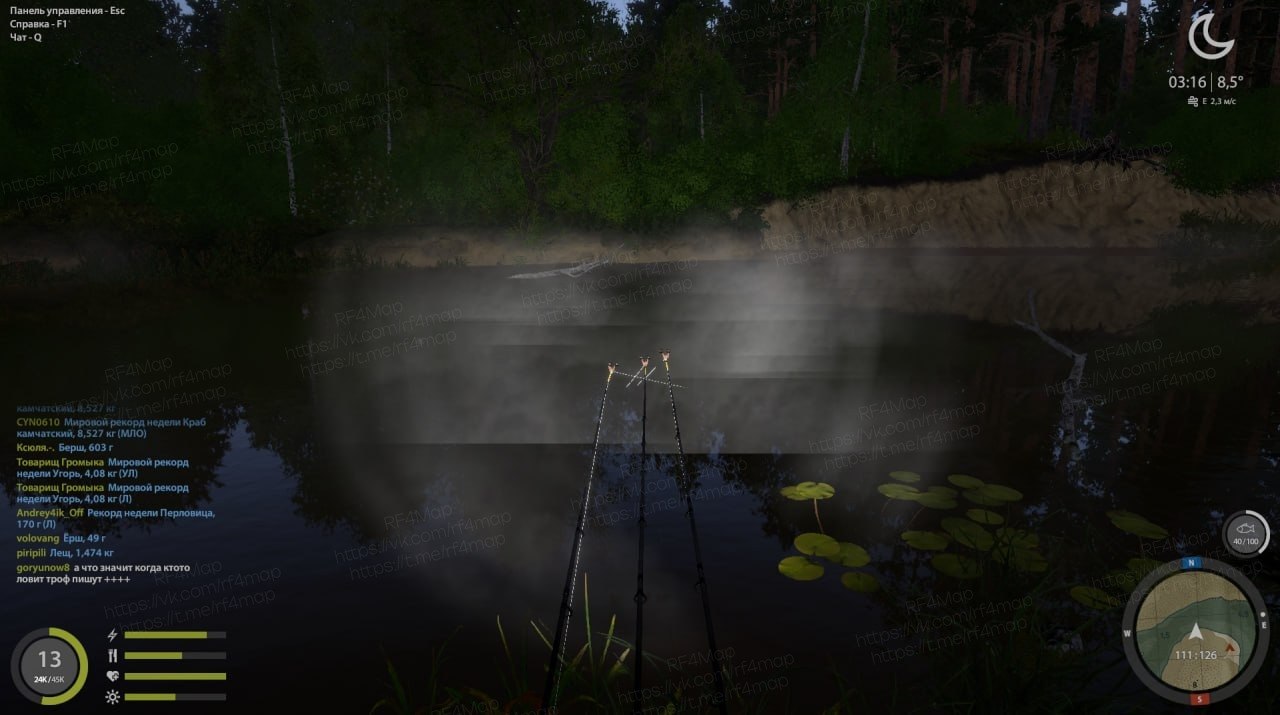 Winding Rivulet