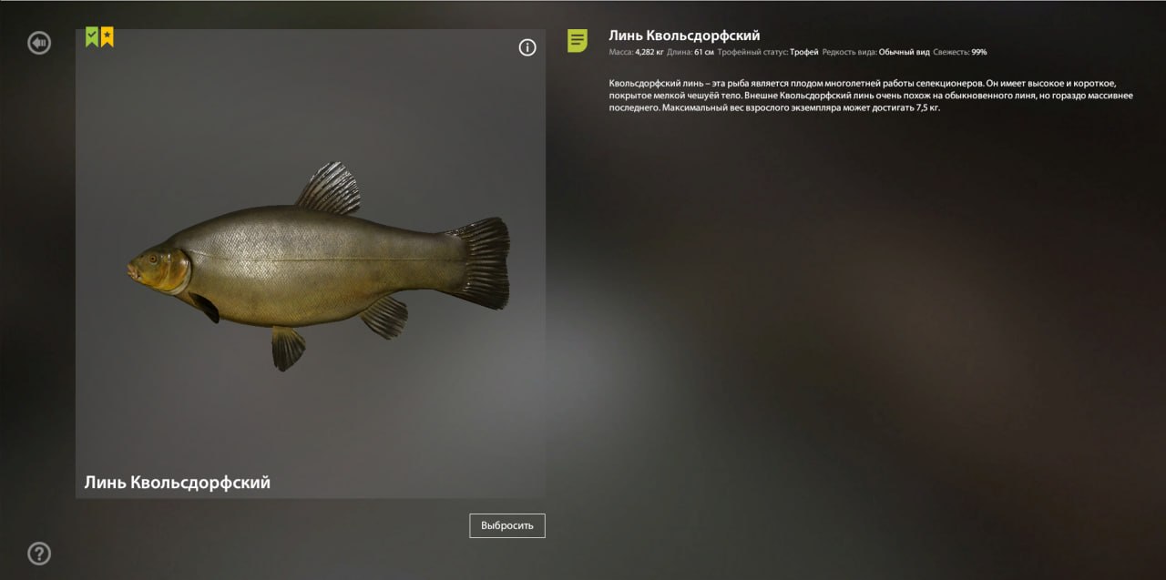 Trophy — Copper Lake