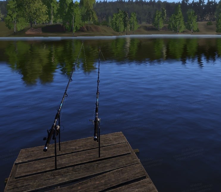 Mosquito Lake — Spot