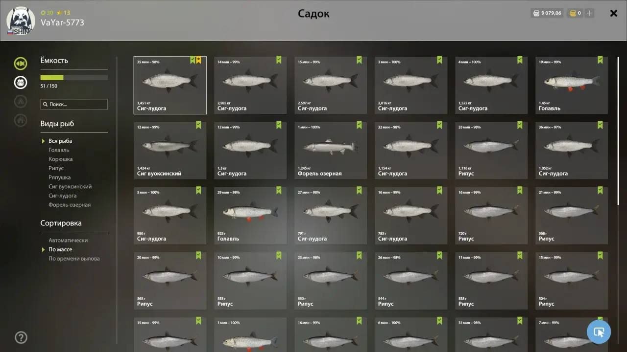 Ladoga Archipelago — Keepnet