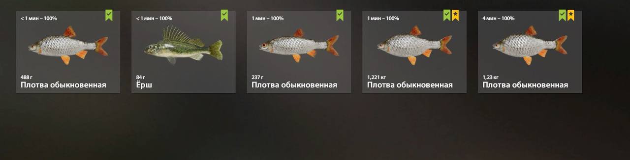 Mosquito Lake — Keepnet