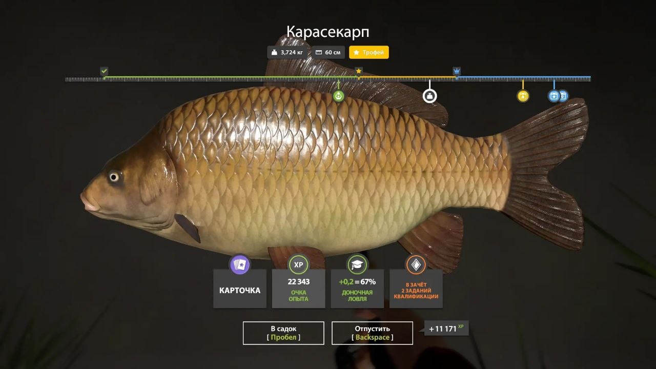 Copper Lake — Trophy