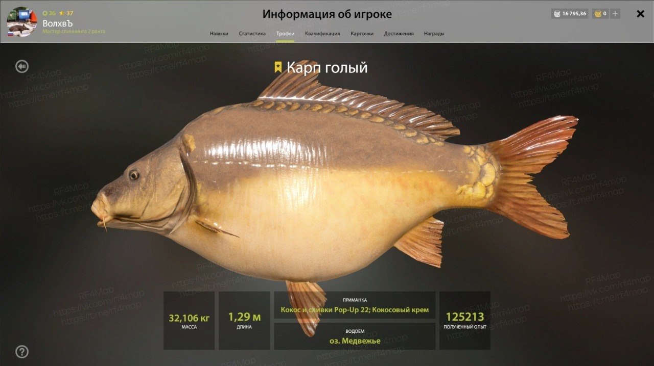 Озеро Медвежье
