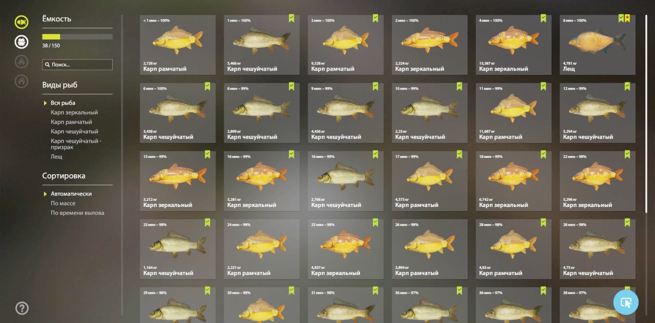 Keepnet — The Amber Lake