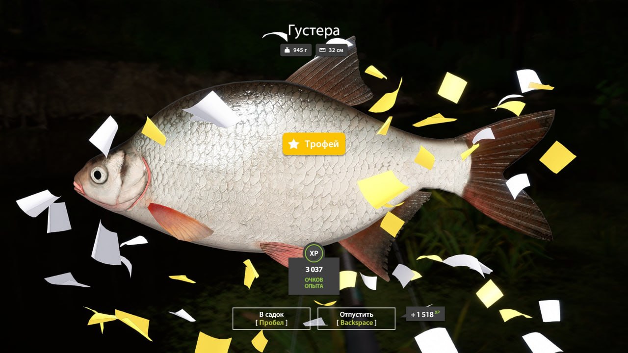 Winding Rivulet — Trophy