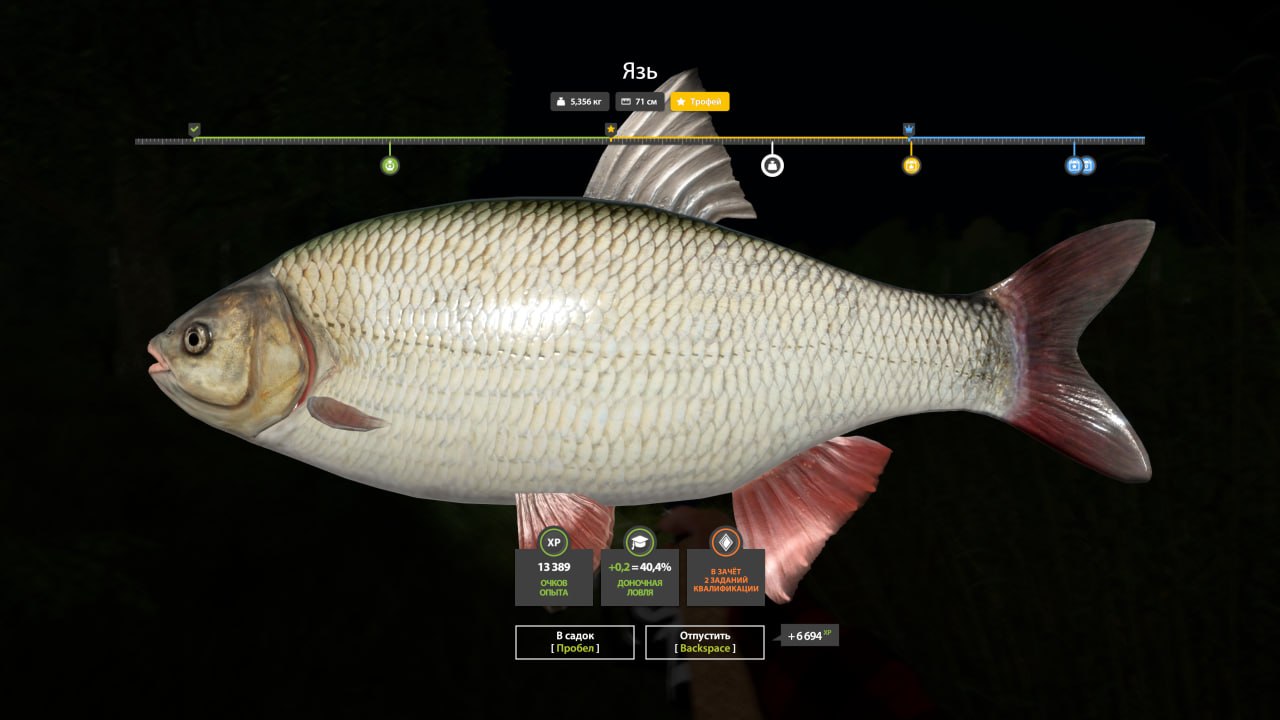 Mosquito Lake — Trophy