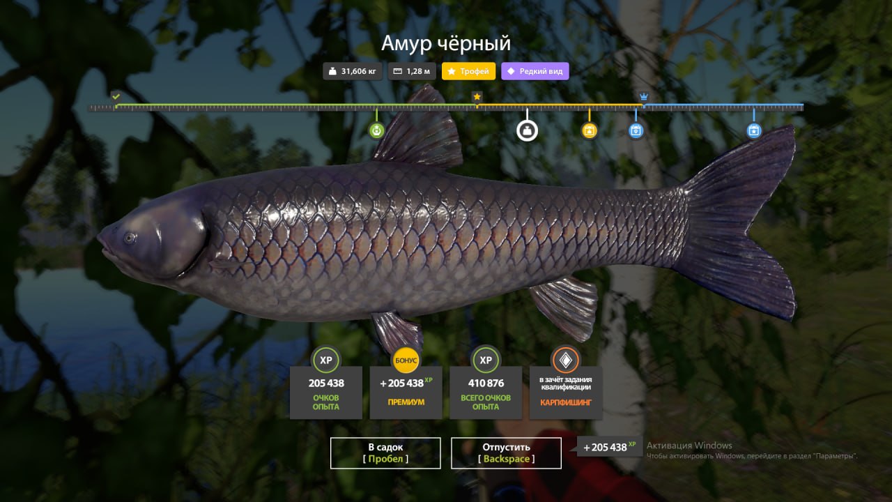 Трофей — Озеро Старый Острог