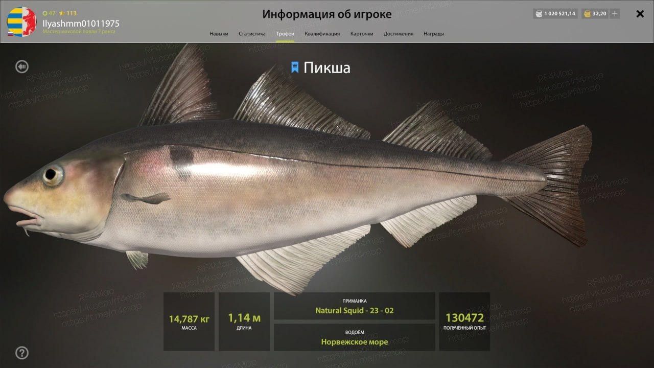 Норвежское море