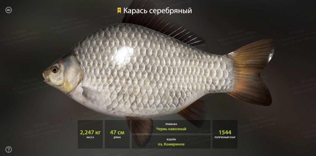 Mosquito Lake — Trophy