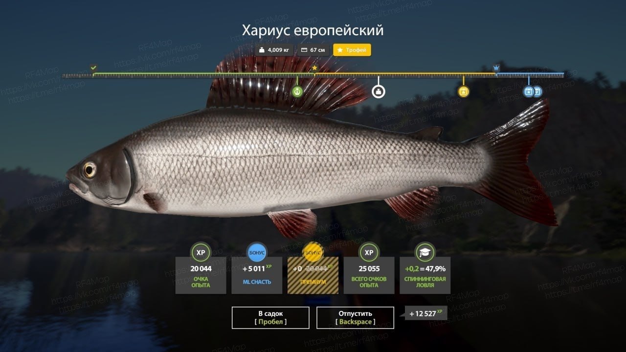 Река Белая