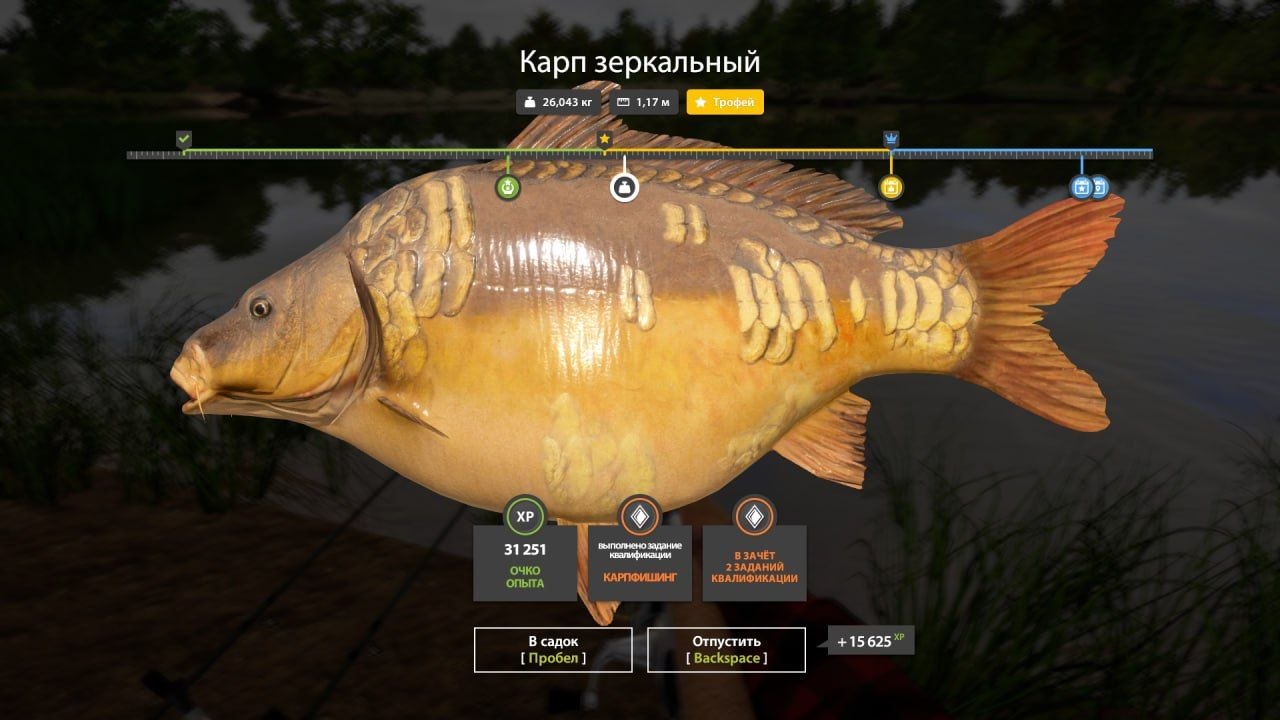 Трофей — Озеро Янтарное