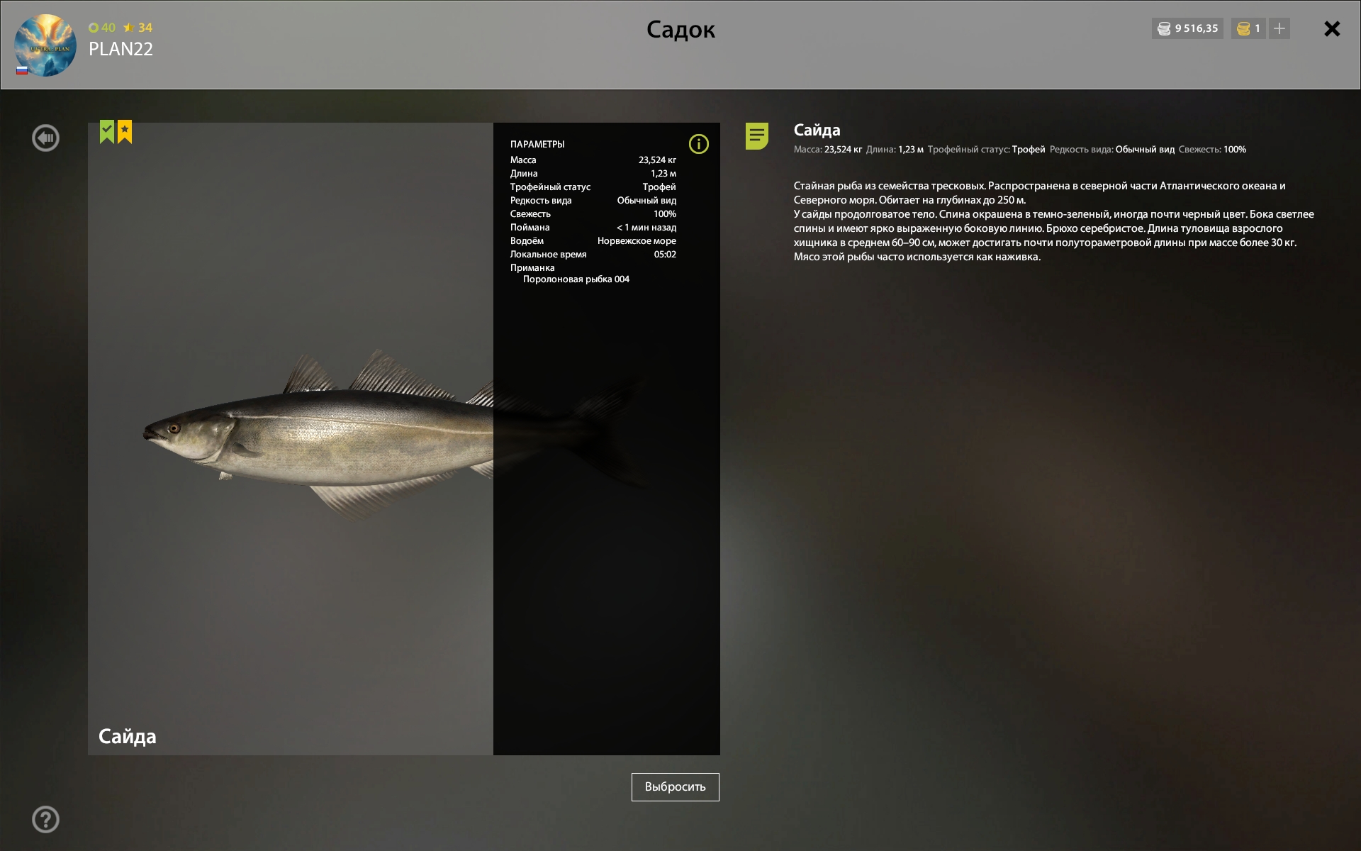 Norwegian Sea — Trophy