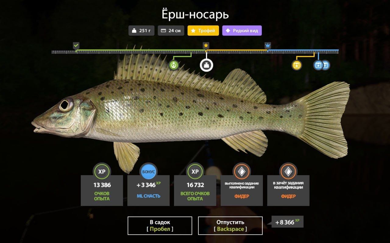 Winding Rivulet — Trophy