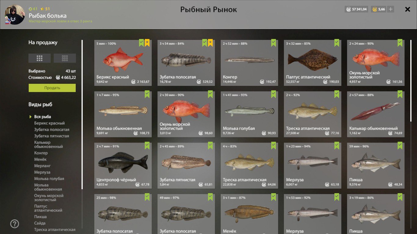 Keepnet — Norwegian Sea