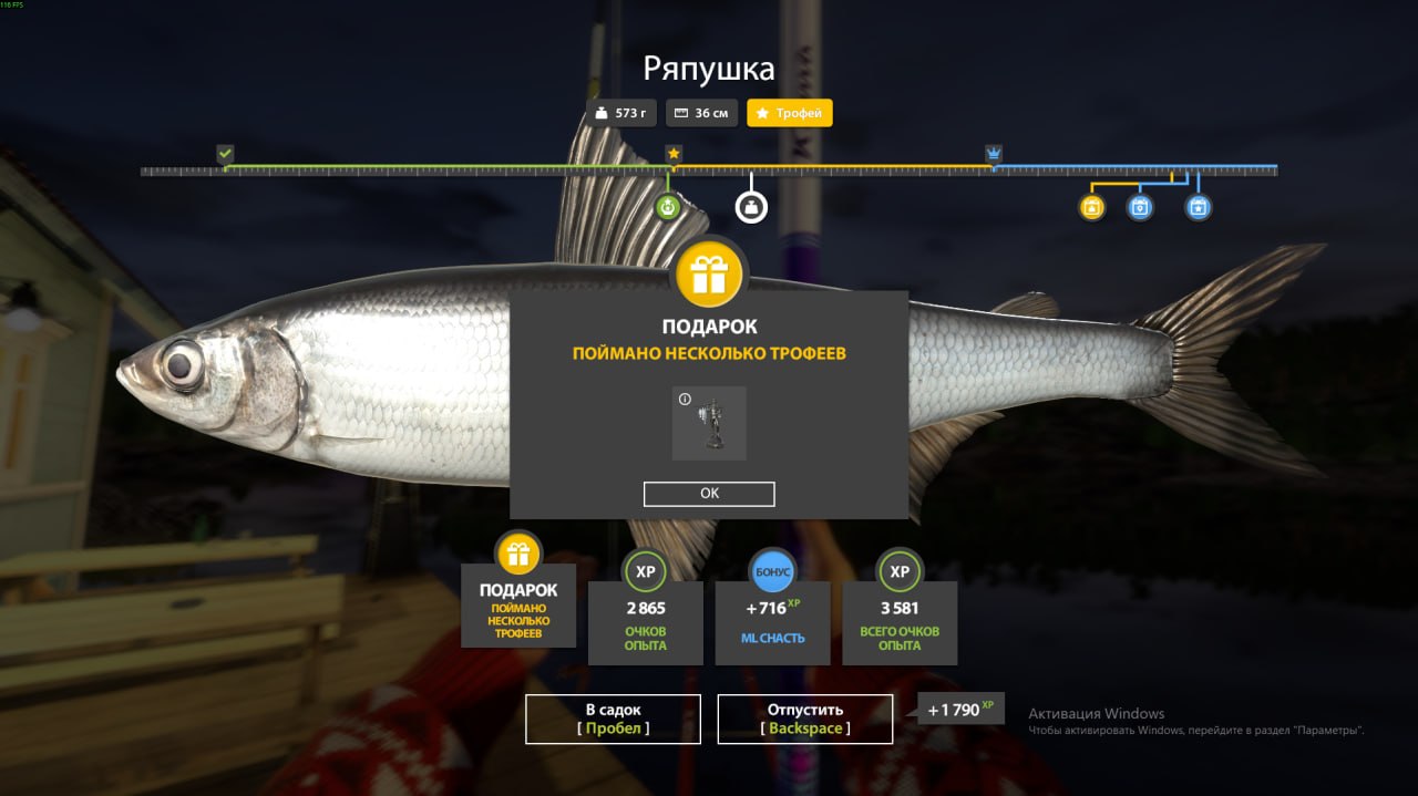 Ладожское озеро — Трофей