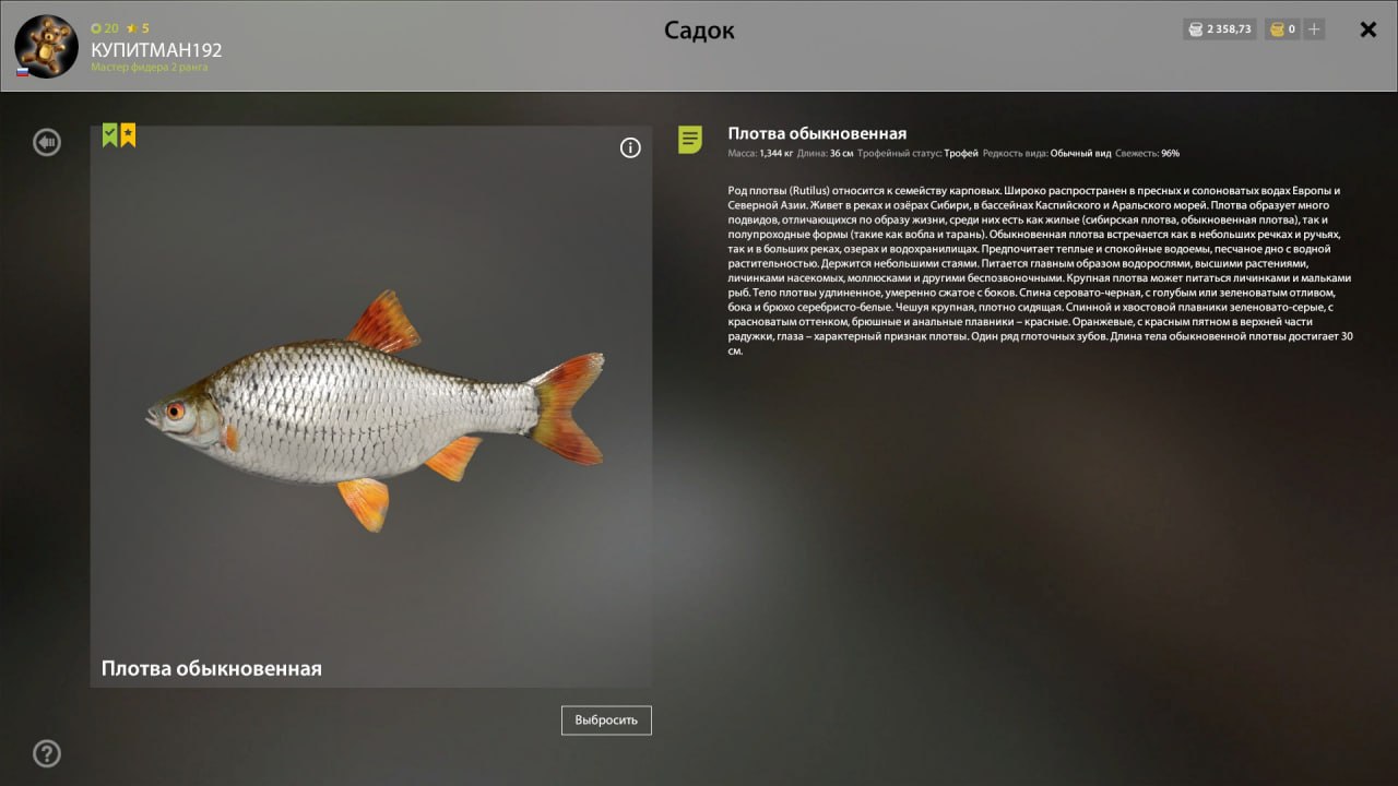 Mosquito Lake — Trophy